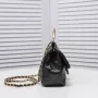 ChaneLady Handle Size: 23* 20* 8cm