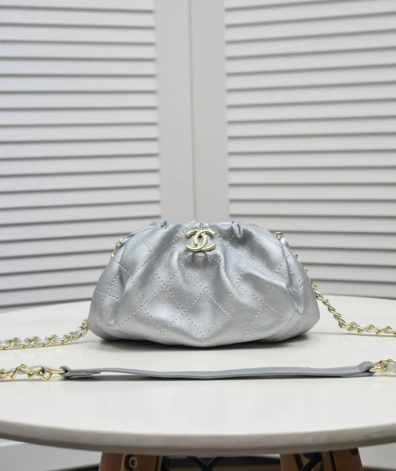 Chanel size: 22x16cm