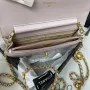 Chane Chain Pouch Size: 19cm