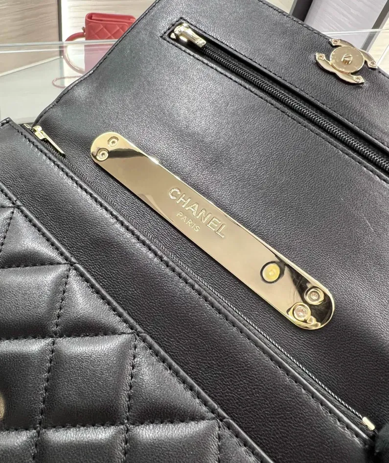 Hand-held diagonal bag Model: AP2844Y9720