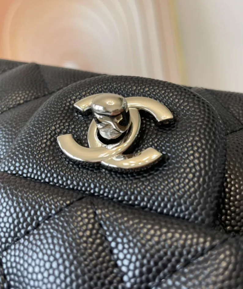Light Silver Metal Bag Size: 20cm Ident No.: 01116