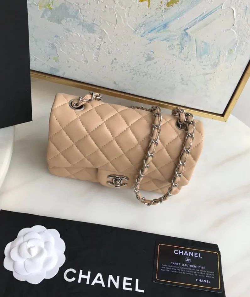 Lambskin Small Bag Size:20X13x7cm Model: 1116