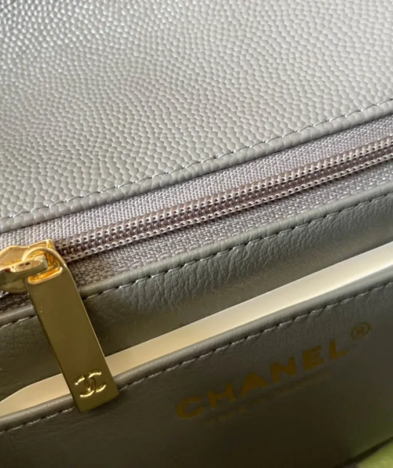 Light Silver Metal Bag Size: 17cm Ident No.: 01115