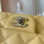 Light Silver Metal Bag Size: 20cm Ident No.: 01116