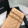 Lambskin Shoulder Chain Bag Style Number: 33814