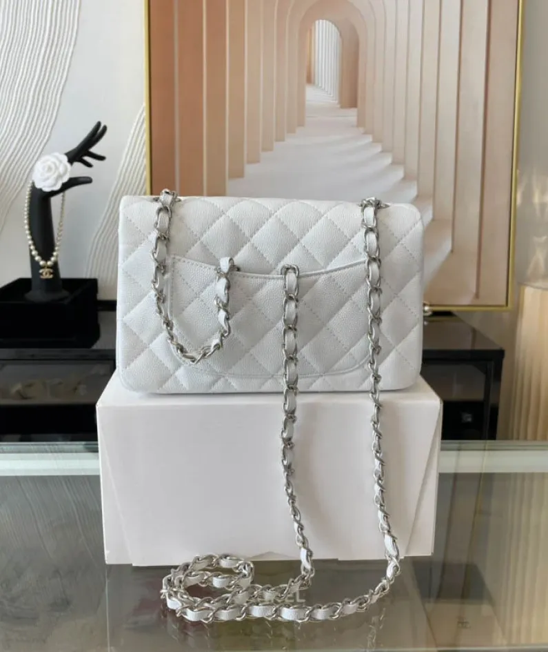 Light Silver Metal Bag Size: 20cm Ident No.: 01116