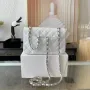 Light Silver Metal Bag Size: 20cm Ident No.: 01116