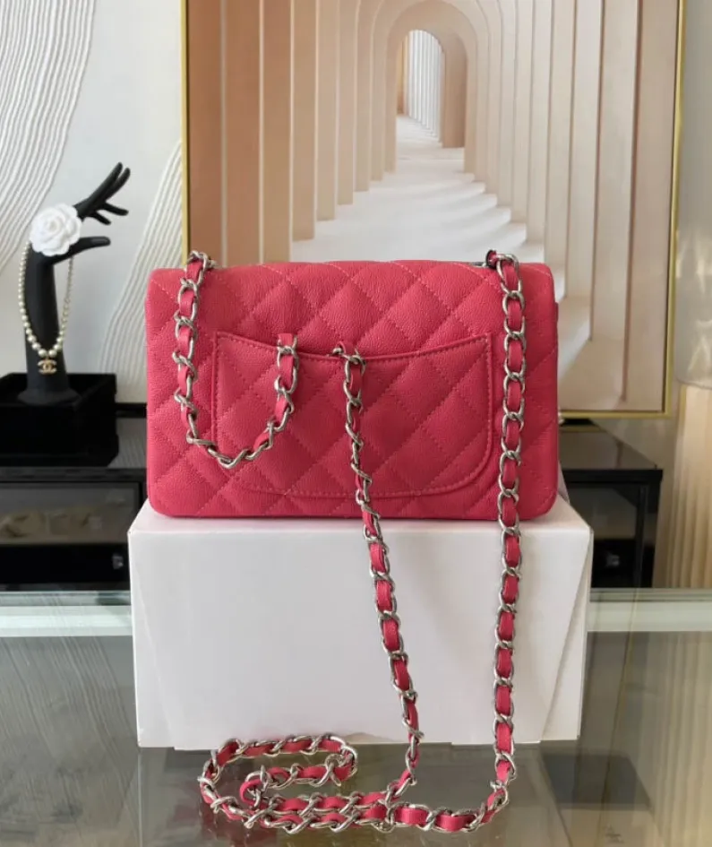 Light Silver Metal Bag Size: 20cm Ident No.: 01116