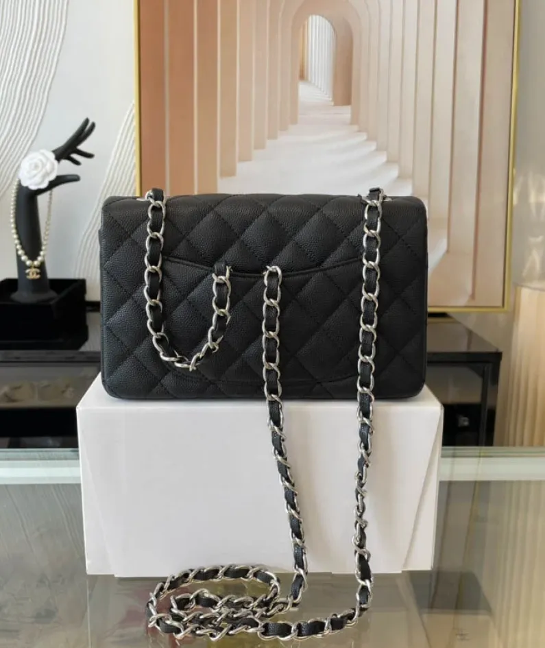Light Silver Metal Bag Size: 20cm Ident No.: 01116
