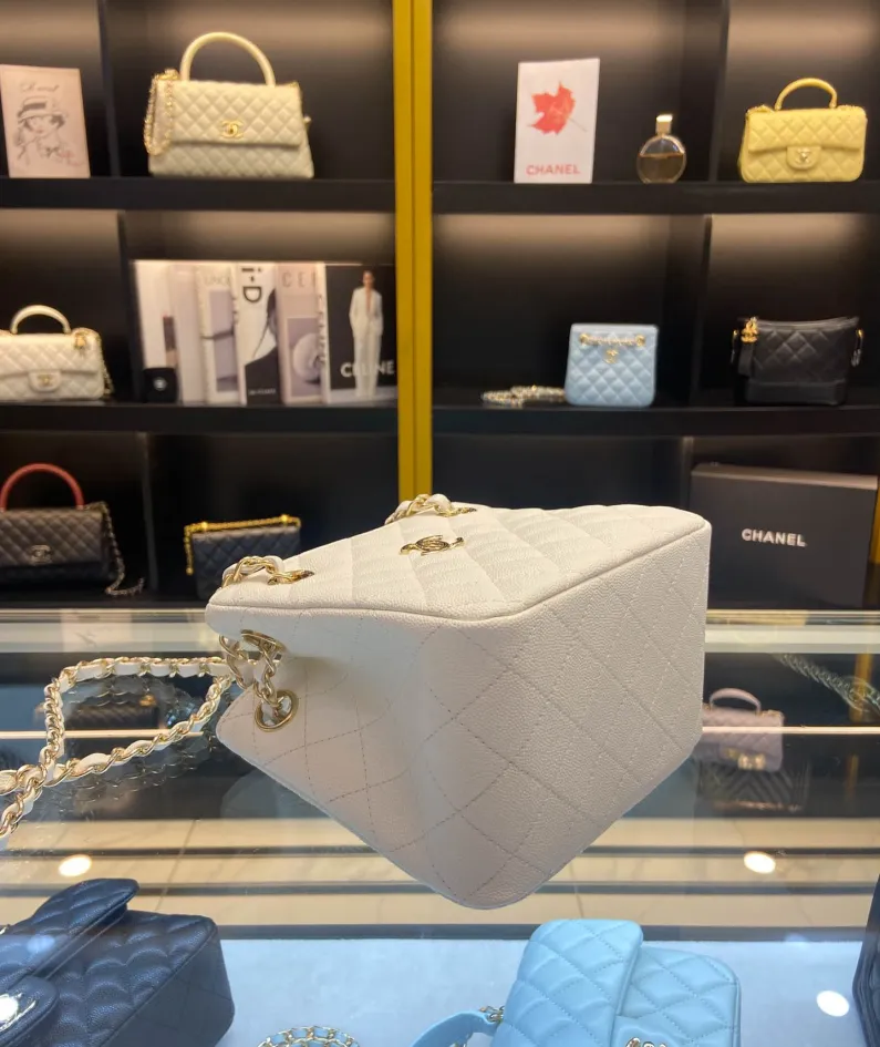 CHANEL One Shoulder Model Number: AS3176 Size: 16X15X9cm