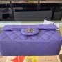 Light Silver Metal Bag Size: 20cm Ident No.: 01116