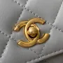 Chane Chain Pouch Size: 19cm