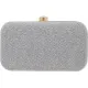 AILTINO Party Silver  Clutch  - Regular Size