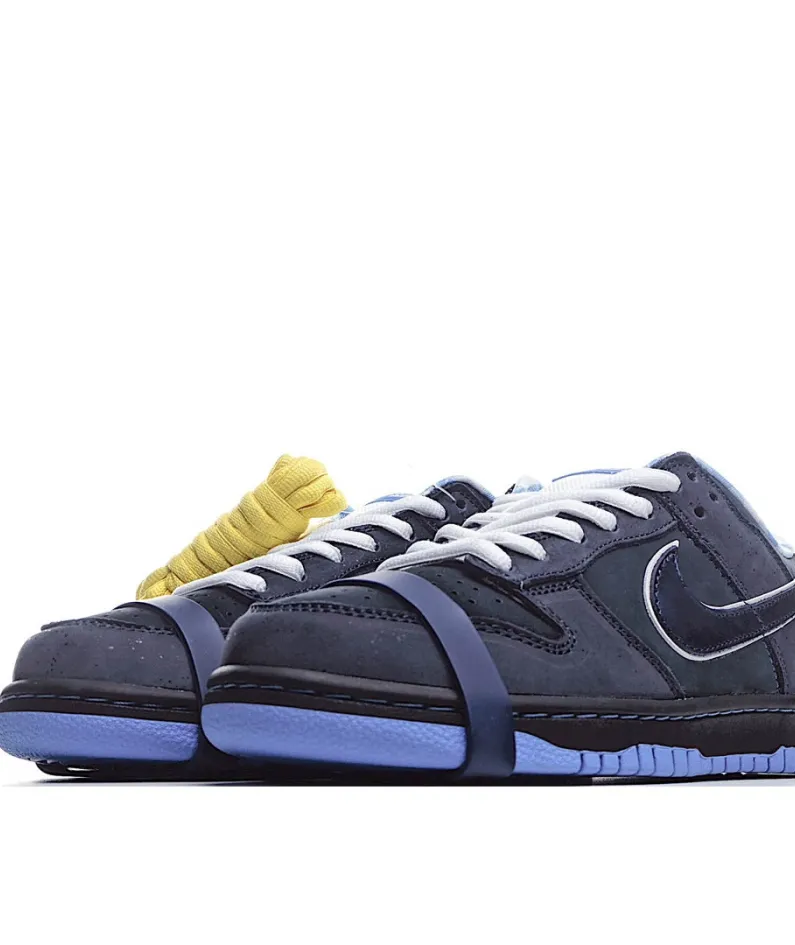 Nike Concepts x NK SB Dunk Low