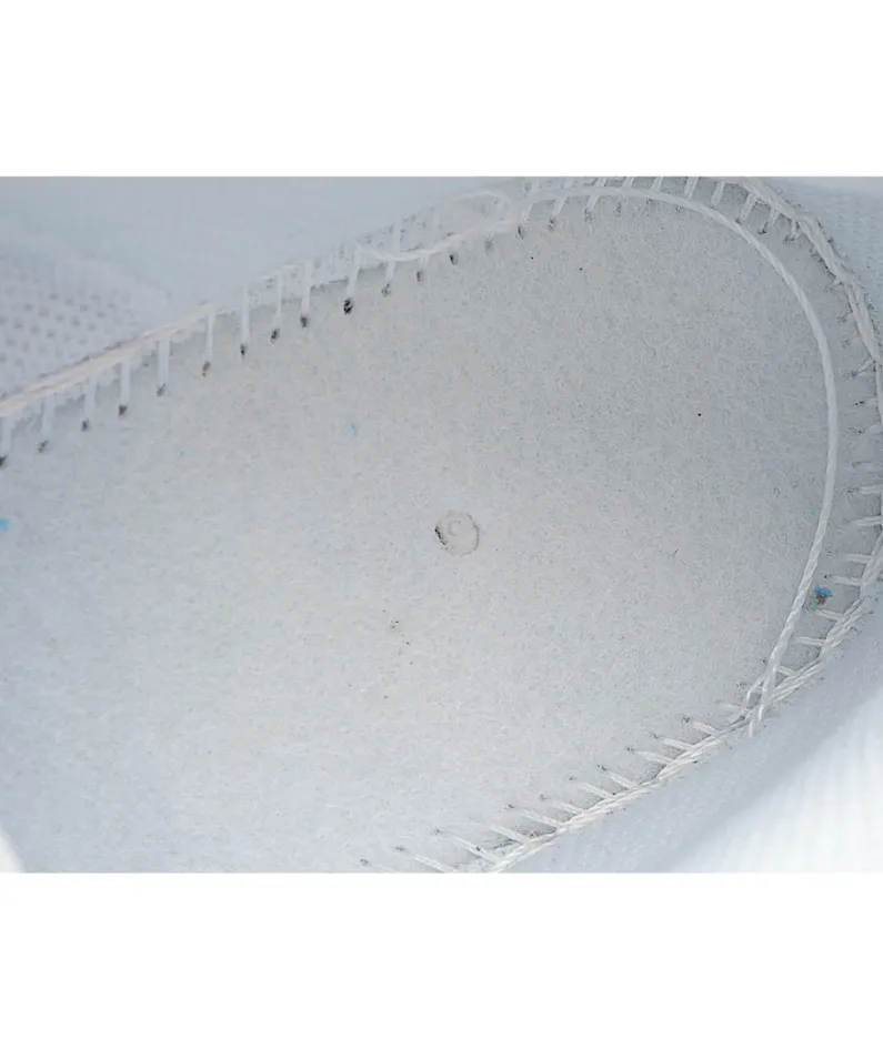 NIKE Dunk Low Disrupt Sneakers