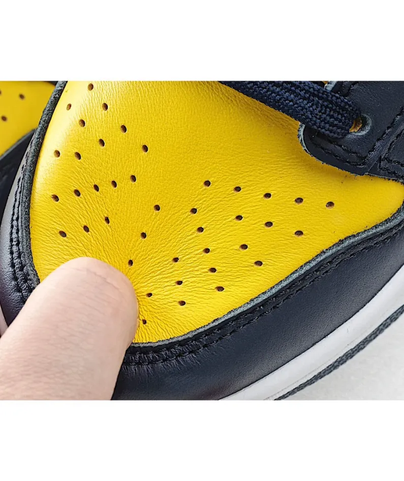 Nike SB Dunk LowMichigan Low Top Sneakers Blue Yellow
