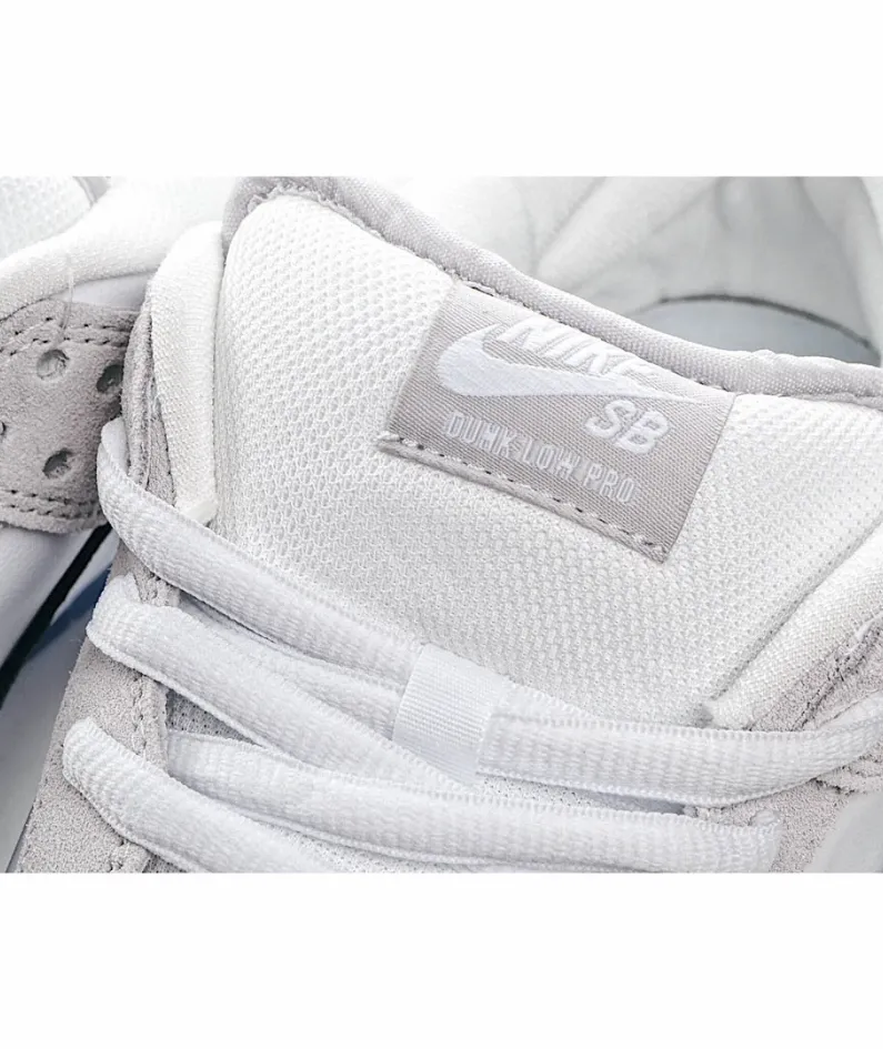 Nike SB Dunk Low x Dior Sole Sneakers