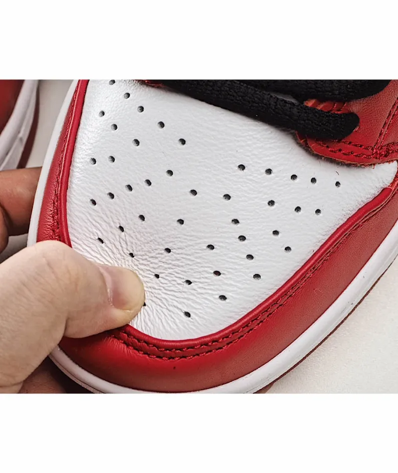 Nike Dunk J-Pack Shadow  