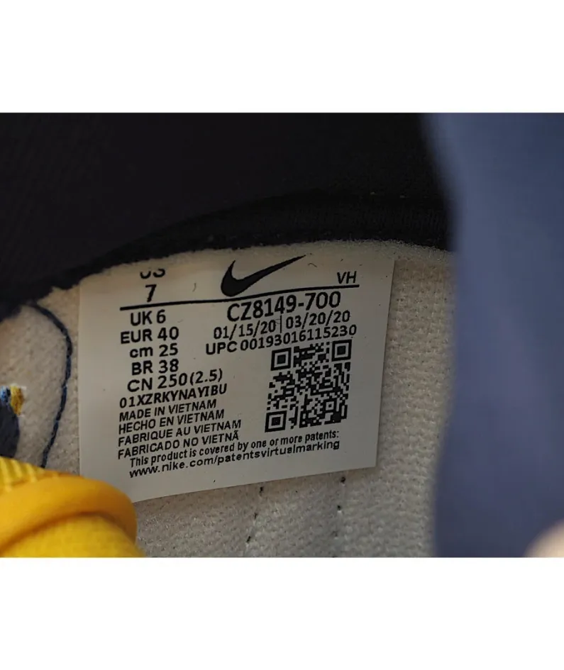 Nike Dunk HiSP Michigan