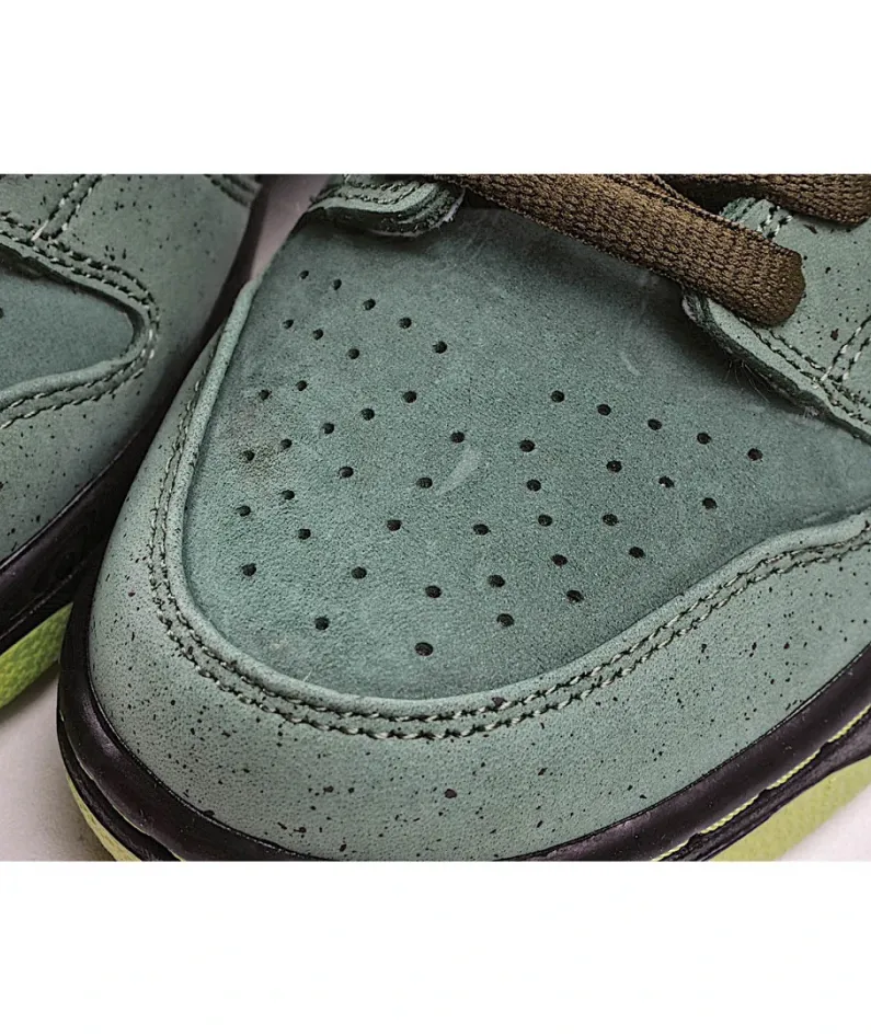 Nike Concepts x SB Dunk Low 