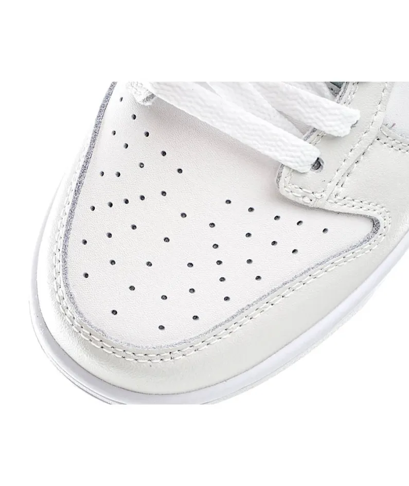 Nike Dunk SB Low Sneakers