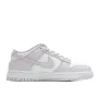 Nike Dunk SB Low Taro Purple Low Top