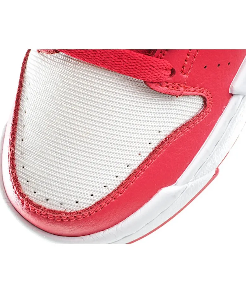Nike Dunk low Disrupt SB dunk sneakers