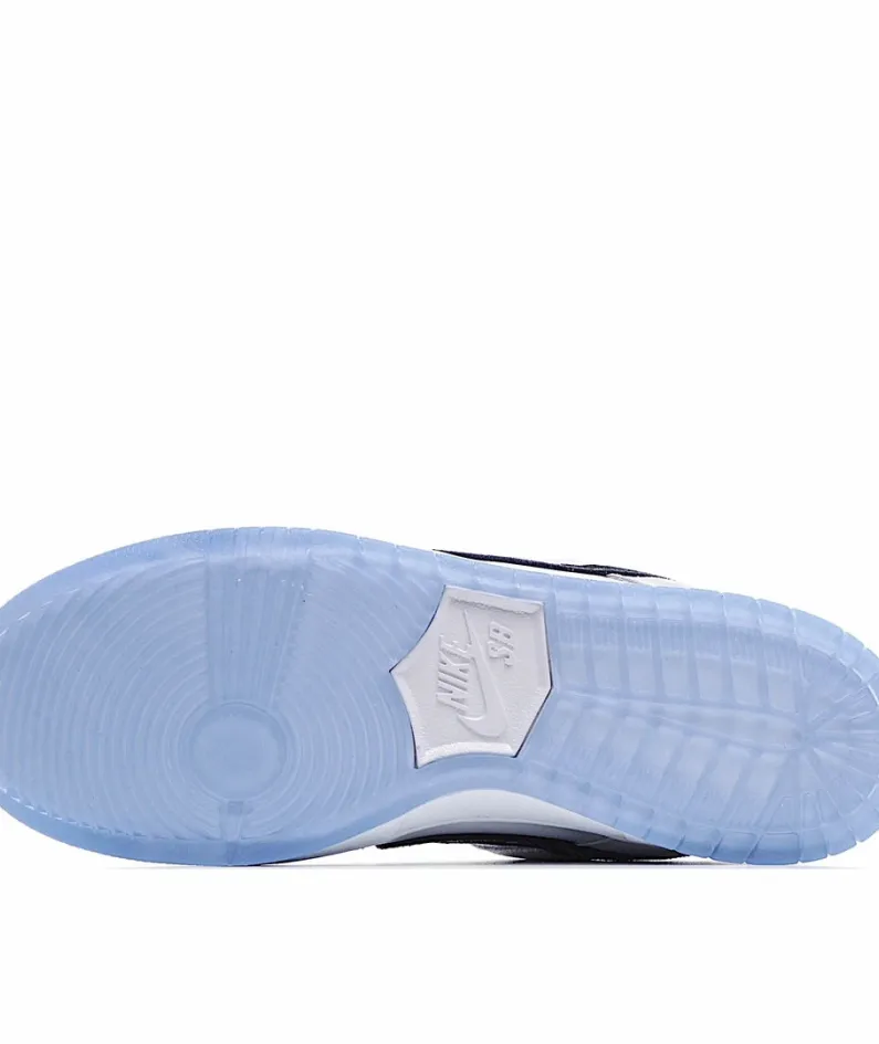 Nike SB Dunk Low x Dior Sole Sneakers