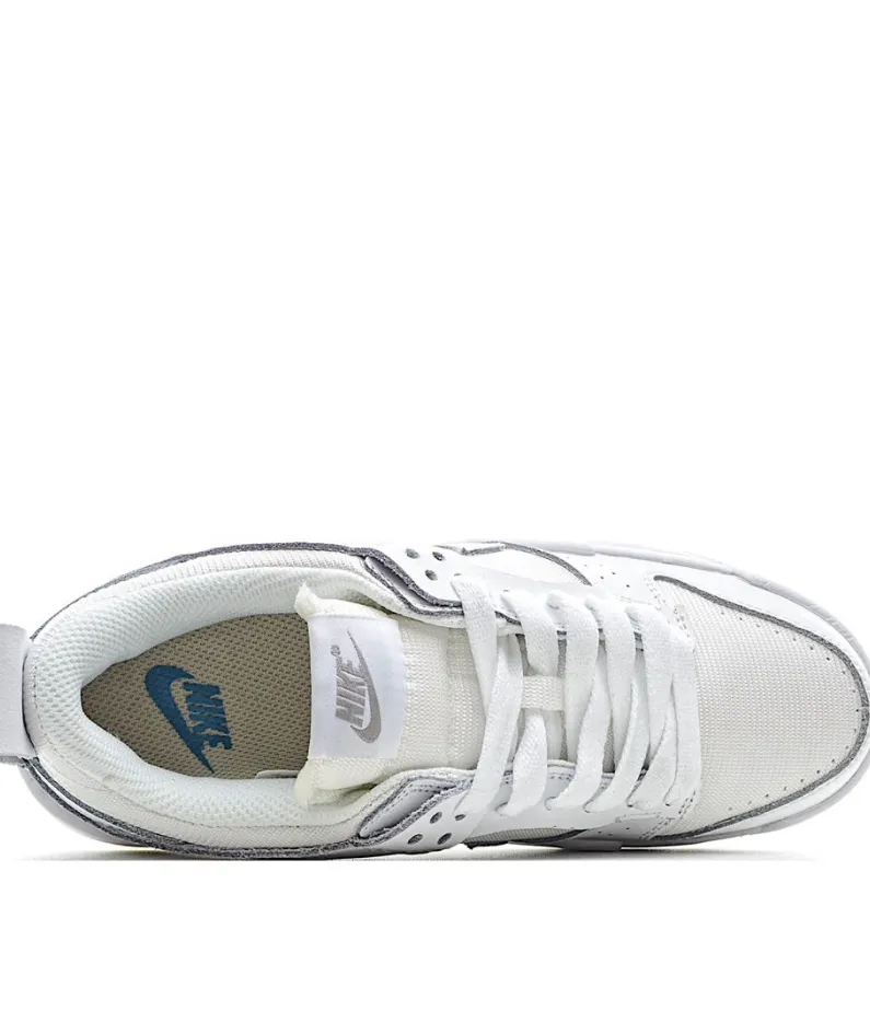 Nike Dunk low Disrupt SB dunk sneakers