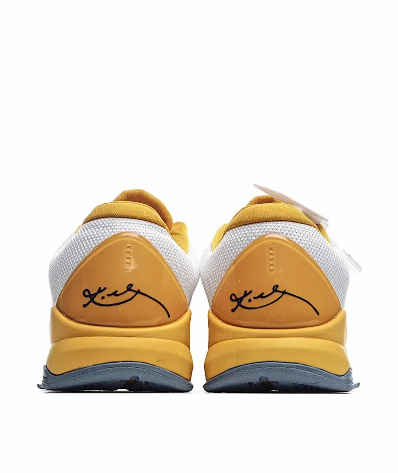 Nike Zoom Kobe basketball shoes