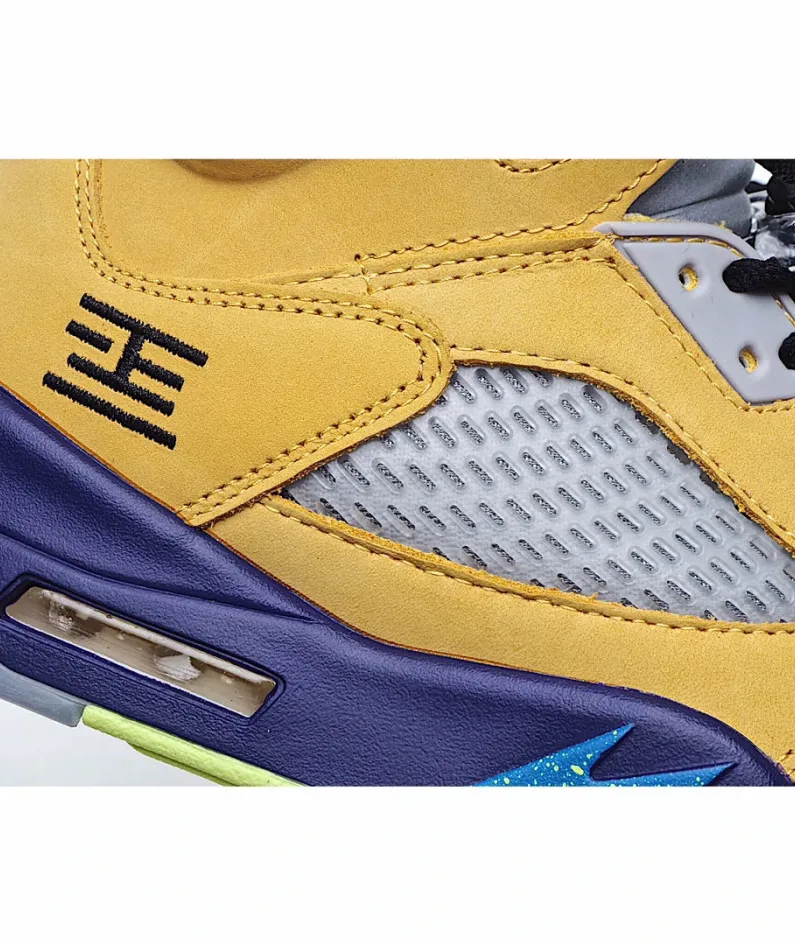 Air Jordan 5 Retro SE 'What The'