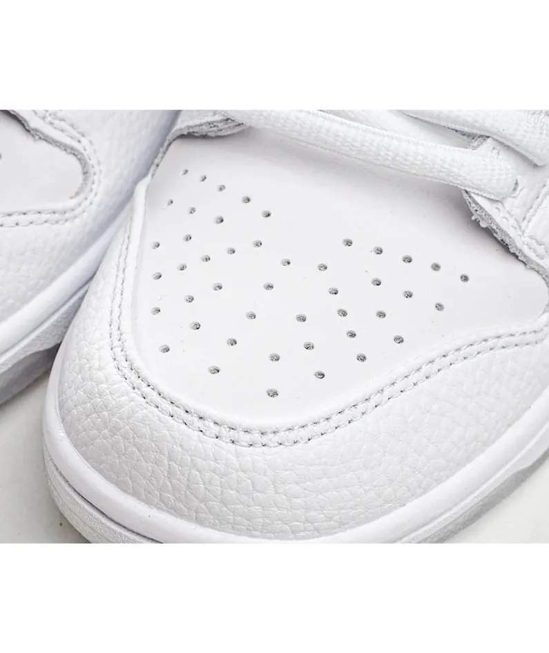 Nike Dunk SB Low White Pigeon Low Top Sneakers