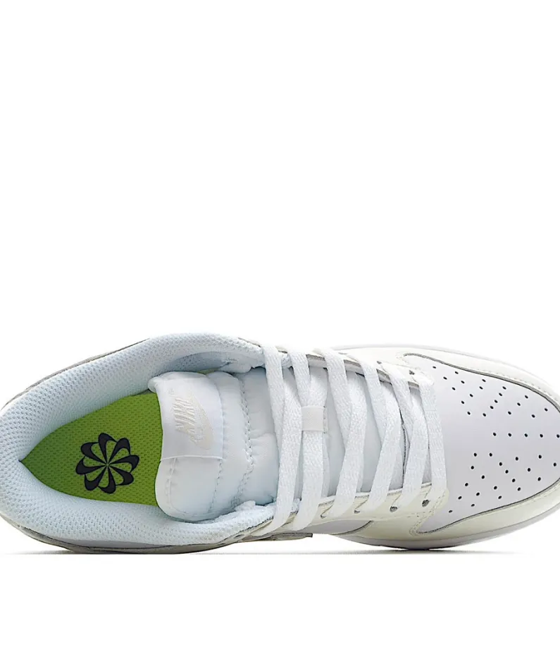 Nike Dunk Low Move To Zero  