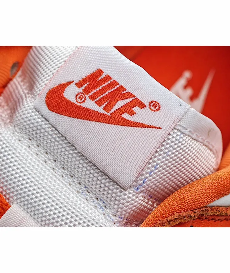 Nike Dunk SB Low Syracuse Low Top Sneakers