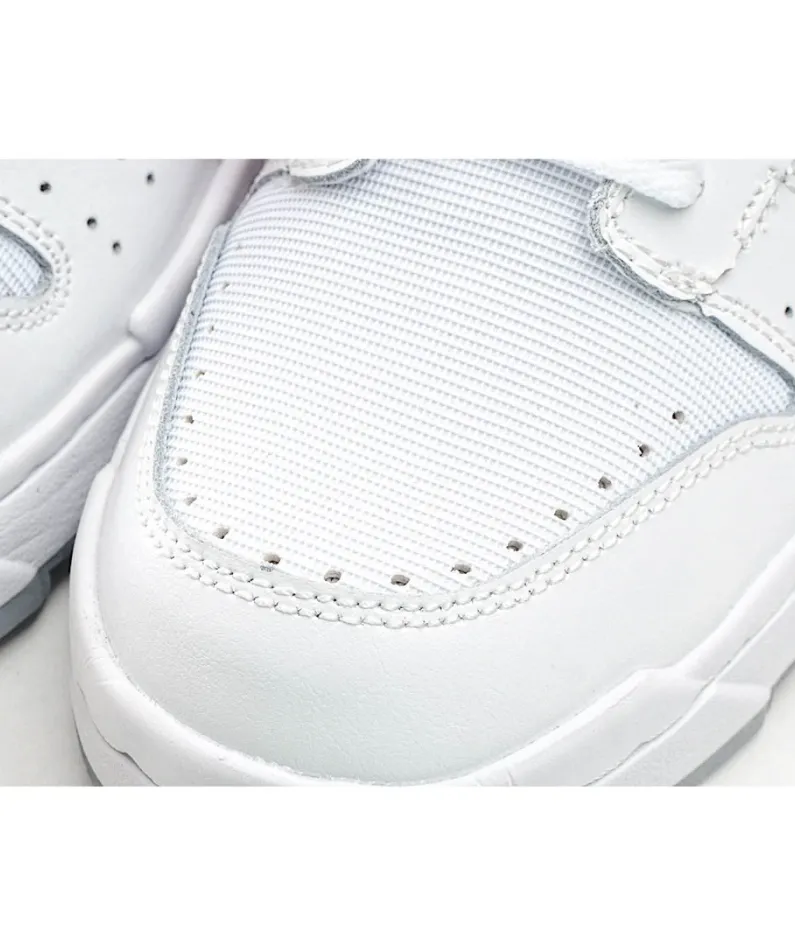 Nike Dunk Low Disrupt Sneakers