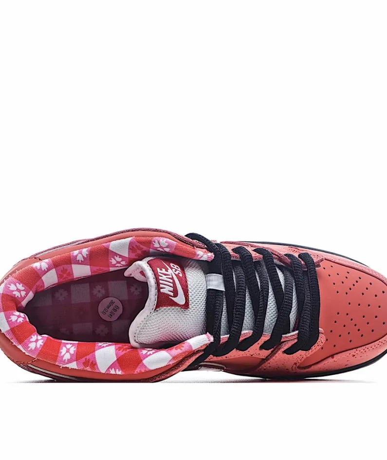 Concepts x Nike SB Dunk Low    