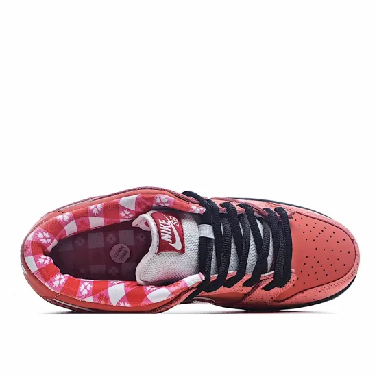 Concepts x Nike SB Dunk Low    