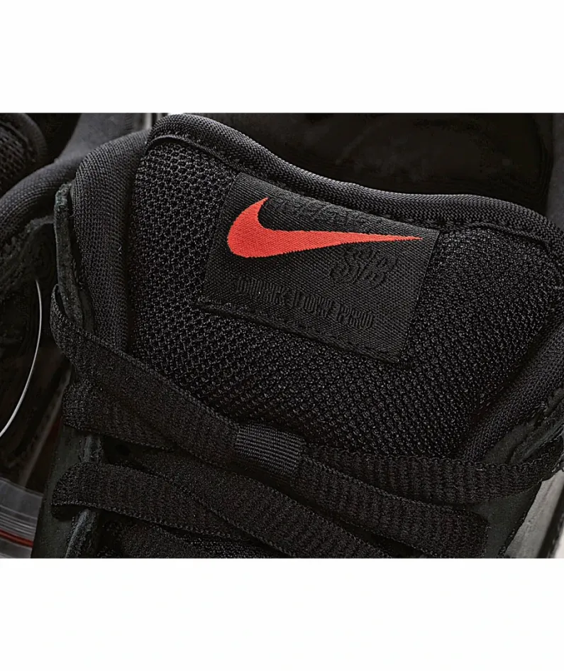 Staple x Nike SB Dunk Low