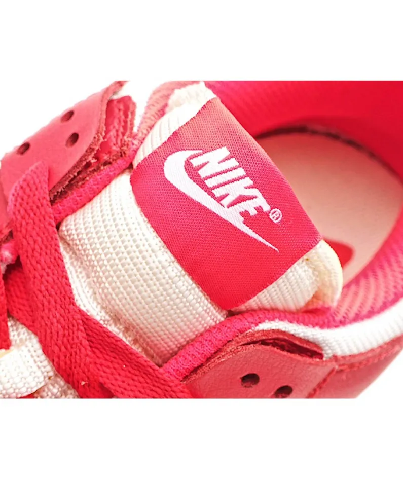 Nike Dunk low Disrupt SB dunk sneakers