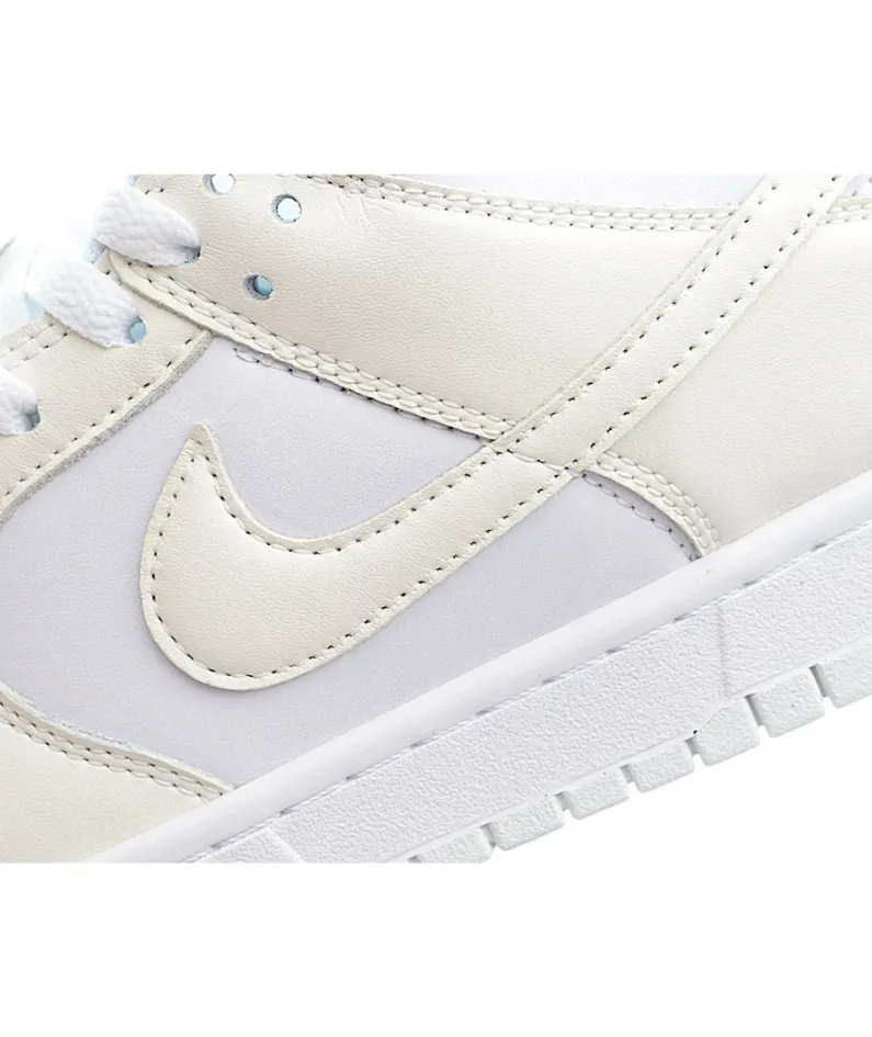 Nike Dunk Low Move To Zero  