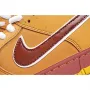 Concepts x Nike SB Dunk Low 