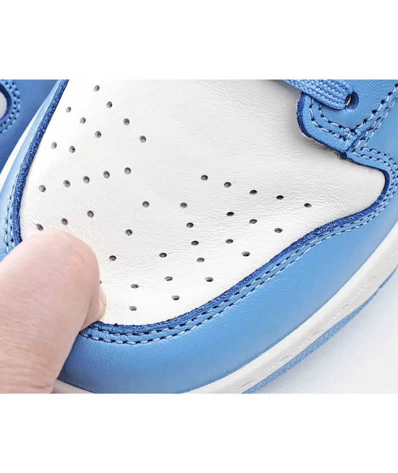 Nike SB Dunk LowCoast Low Top Sneakers