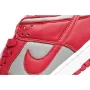 Nike SB Dunk Grey Red Pavement