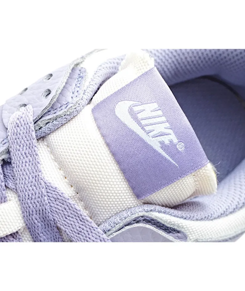 Nike Dunk low Disrupt SB dunk sneakers