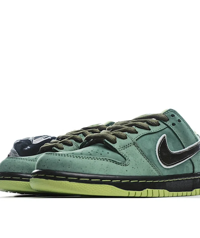 Nike Concepts x SB Dunk Low 