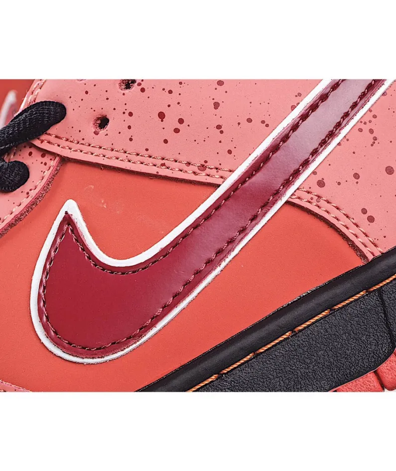 Concepts x Nike SB Dunk Low    
