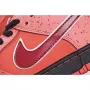 Concepts x Nike SB Dunk Low    