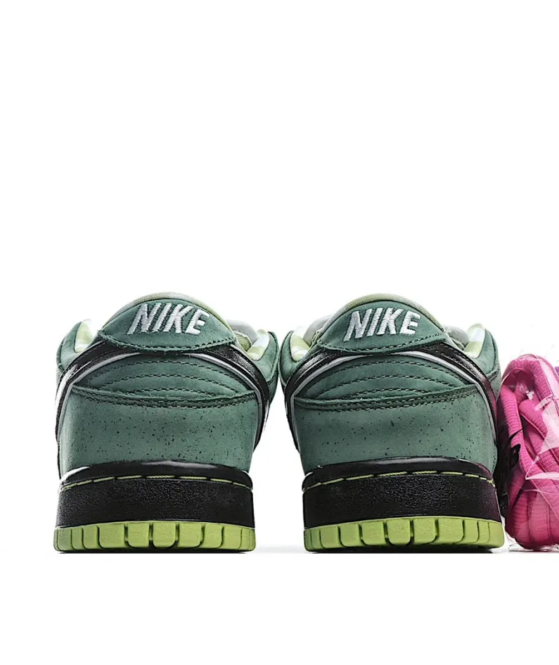 Nike Concepts x SB Dunk Low 
