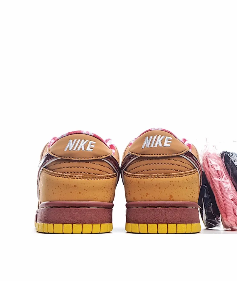 Concepts x Nike SB Dunk Low 