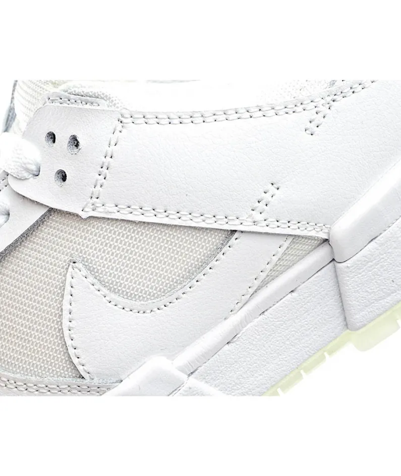Nike Dunk low Disrupt SB dunk sneakers